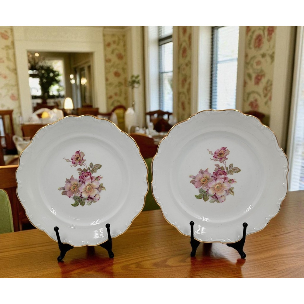 2 Schumann Arzberg Briar Rose Salad Plates Bavaria Germany Gold Trim 1950s